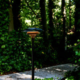 insitu