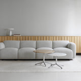 insitu