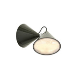 Pose Surface Wall Lamp: Kelp