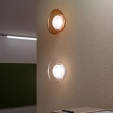 insitu