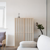 Nao Cabinet