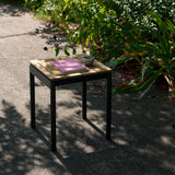 insitu