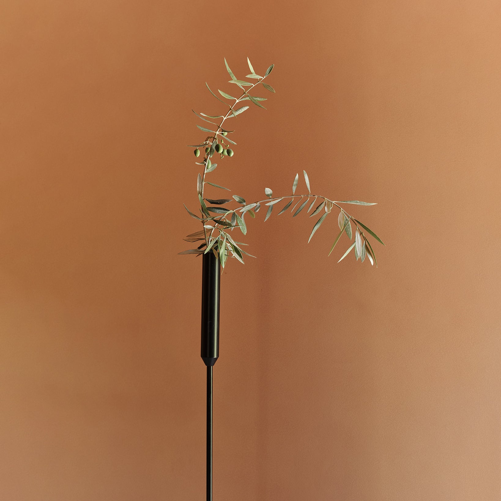 insitu