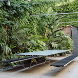 insitu
