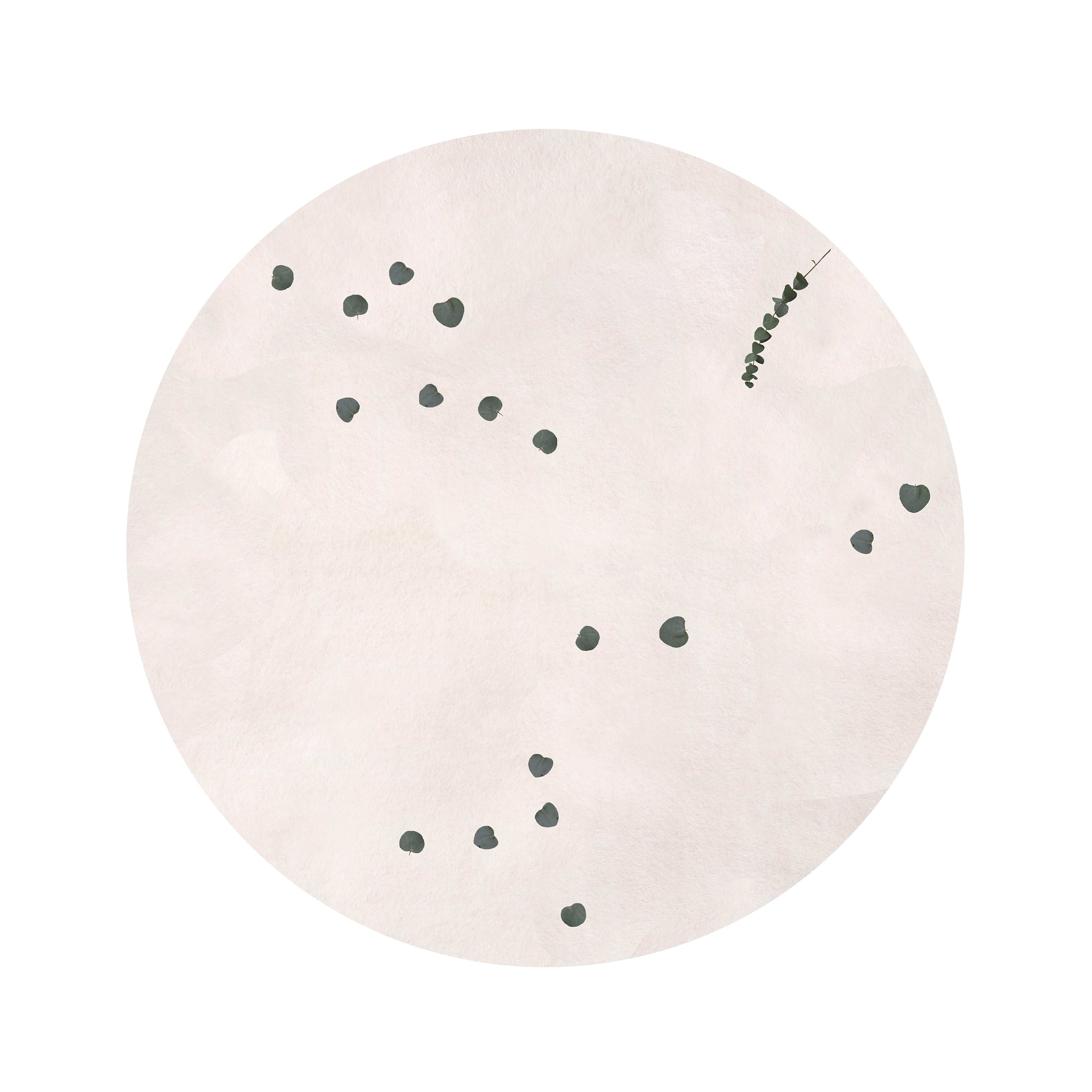 Eucalyptus Hand Tufted ound Rug: Small - 70.9