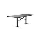 Ferric Table: 28.7