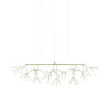 Heracleum III Linear Light: Green