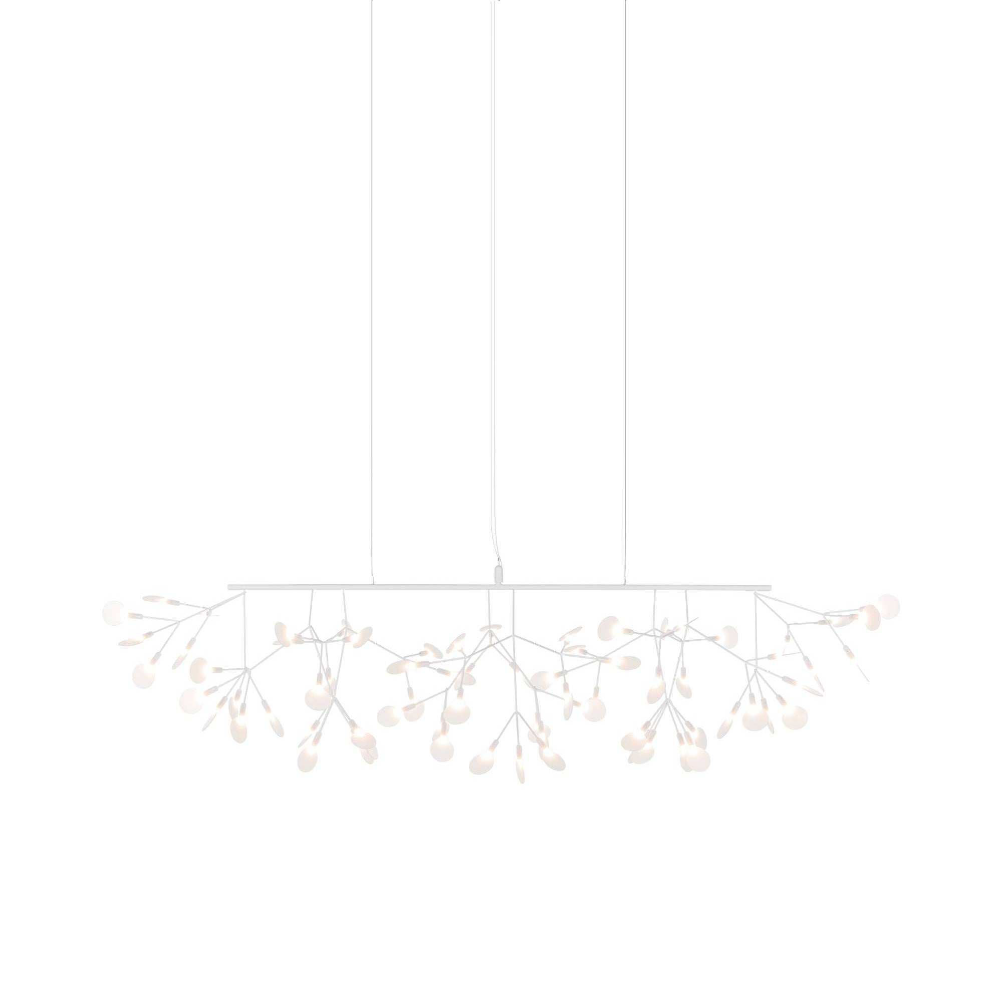 Heracleum III Linear Light: White