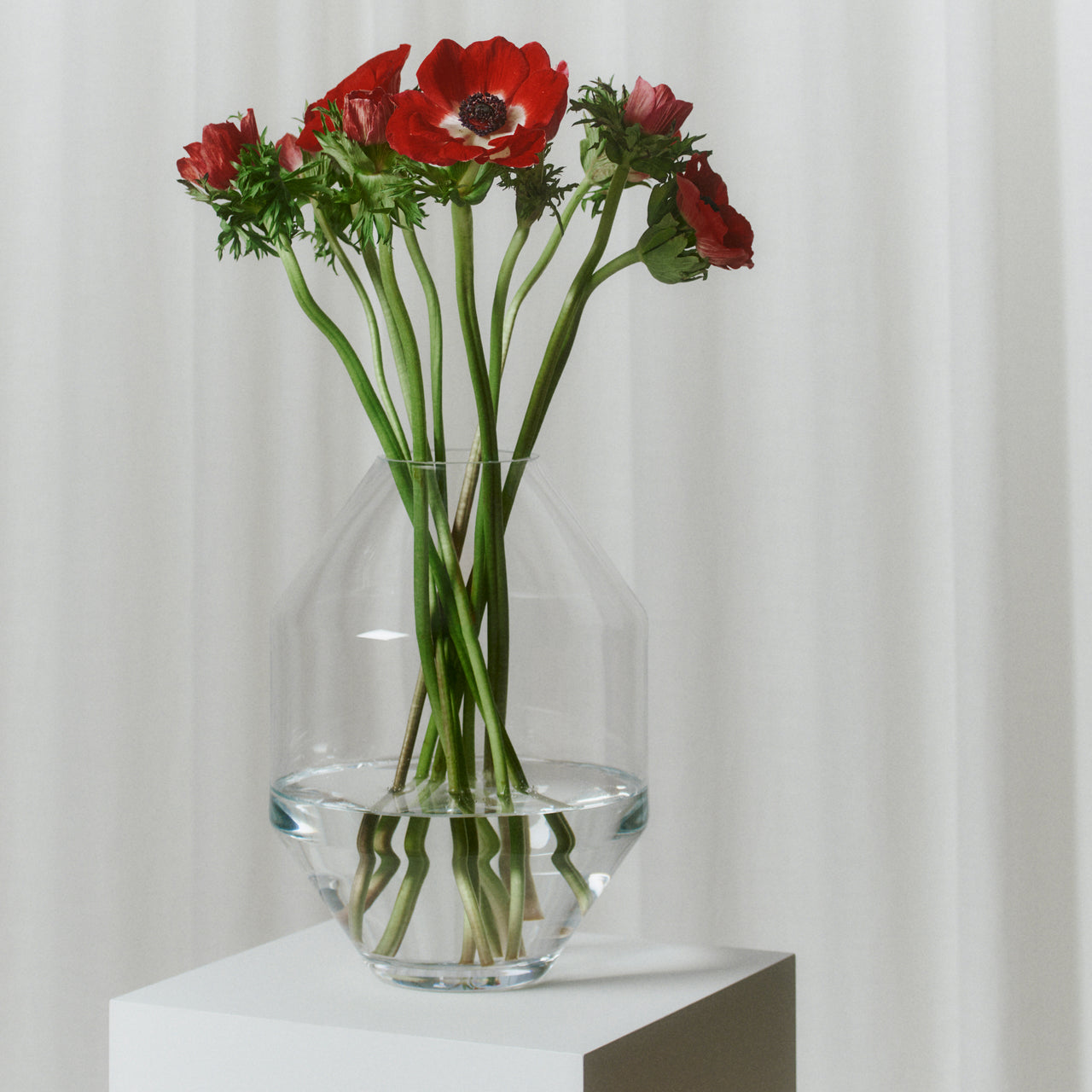 Hydro Vase