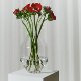 Hydro Vase