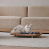 insitu