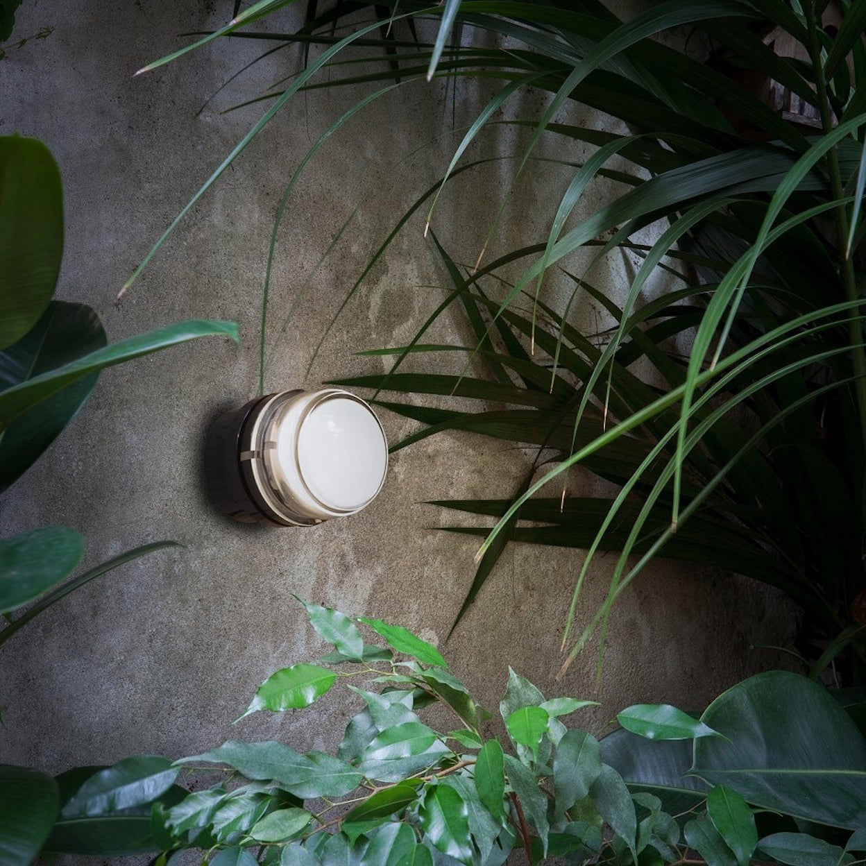 insitu