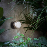 insitu