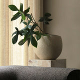 Plantas Planter