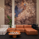 insitu