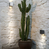Lab 2 Wall Light