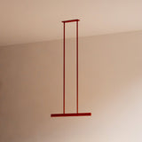 insitu