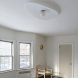 insitu