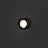 insitu