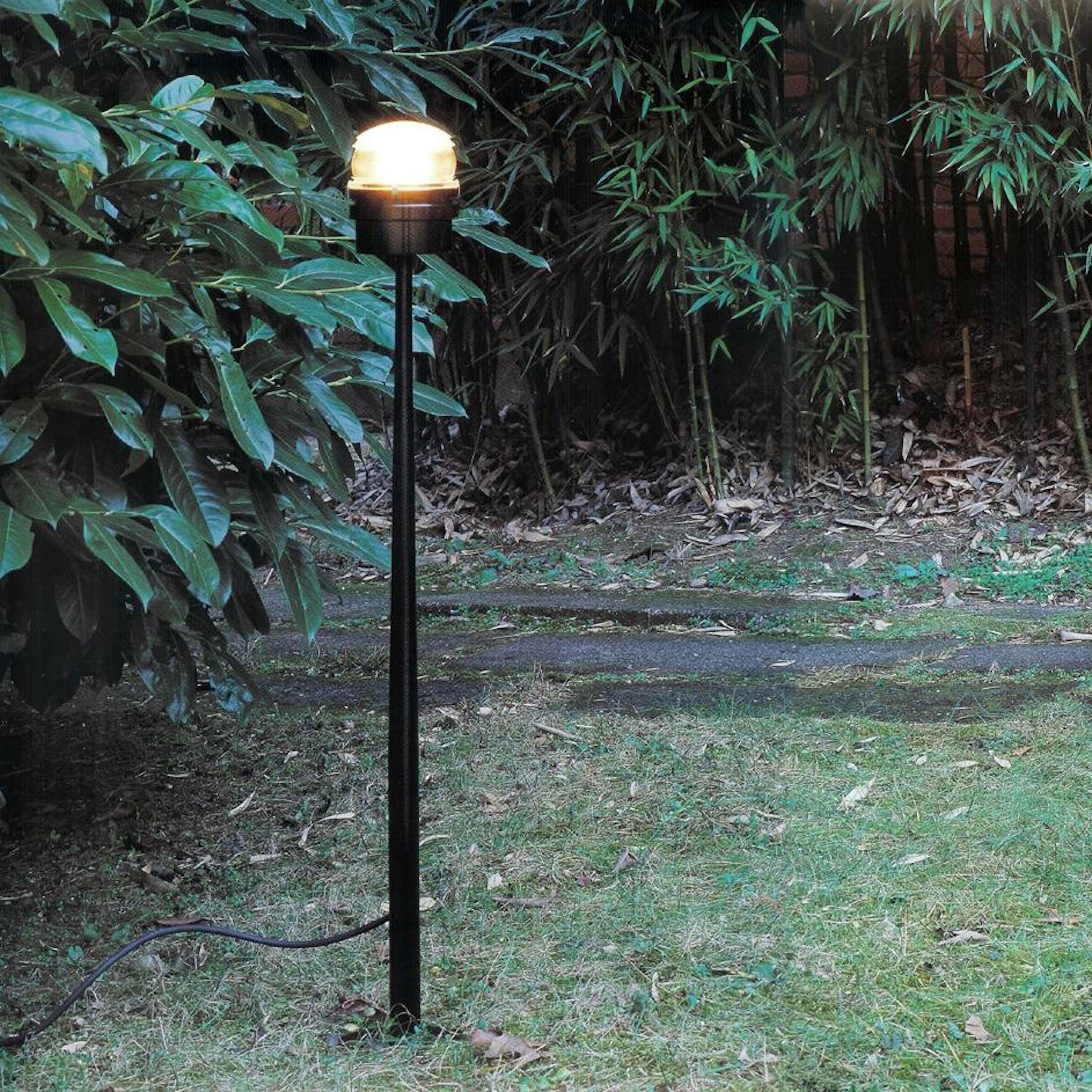 insitu