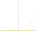 Pipeline CM7 Pendant Light: Brass + Brass