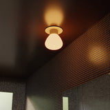 insitu