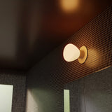 insitu