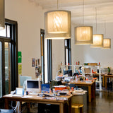 insitu