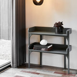 insitu