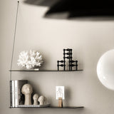 Stedge Shelving