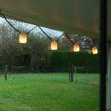 Stringlight