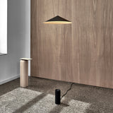 insitu