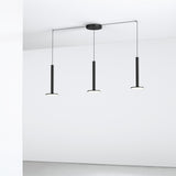 insitu