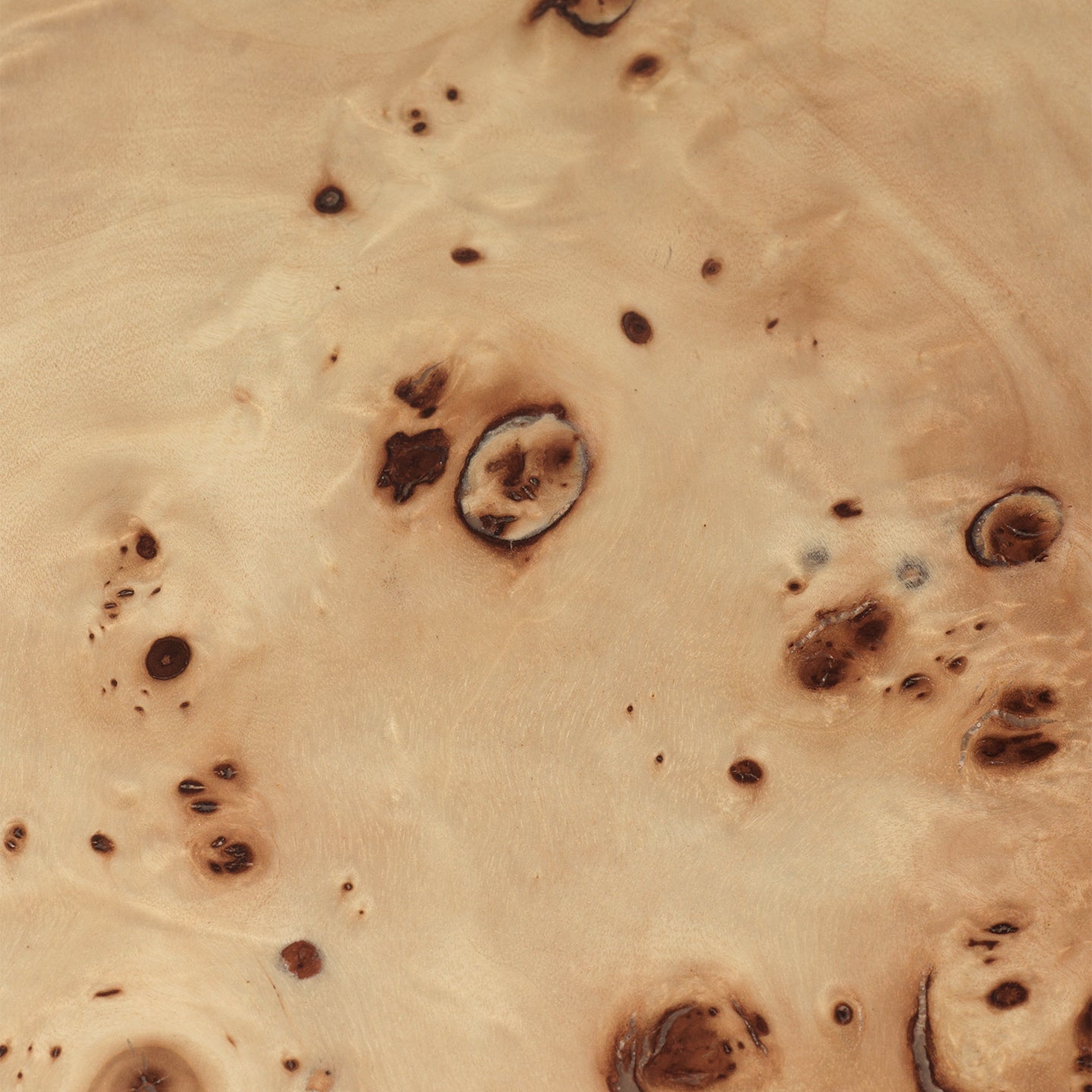 Burl Coffee Table