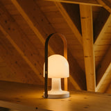 insitu