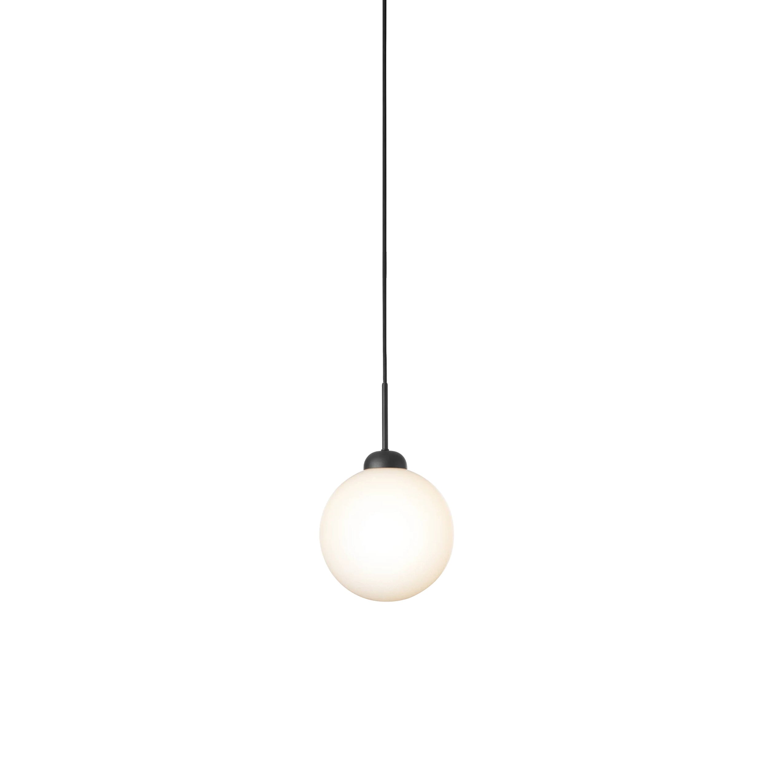 Apiales 1 Pendant