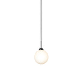 Apiales 1 Pendant