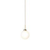 Apiales 1 Pendant