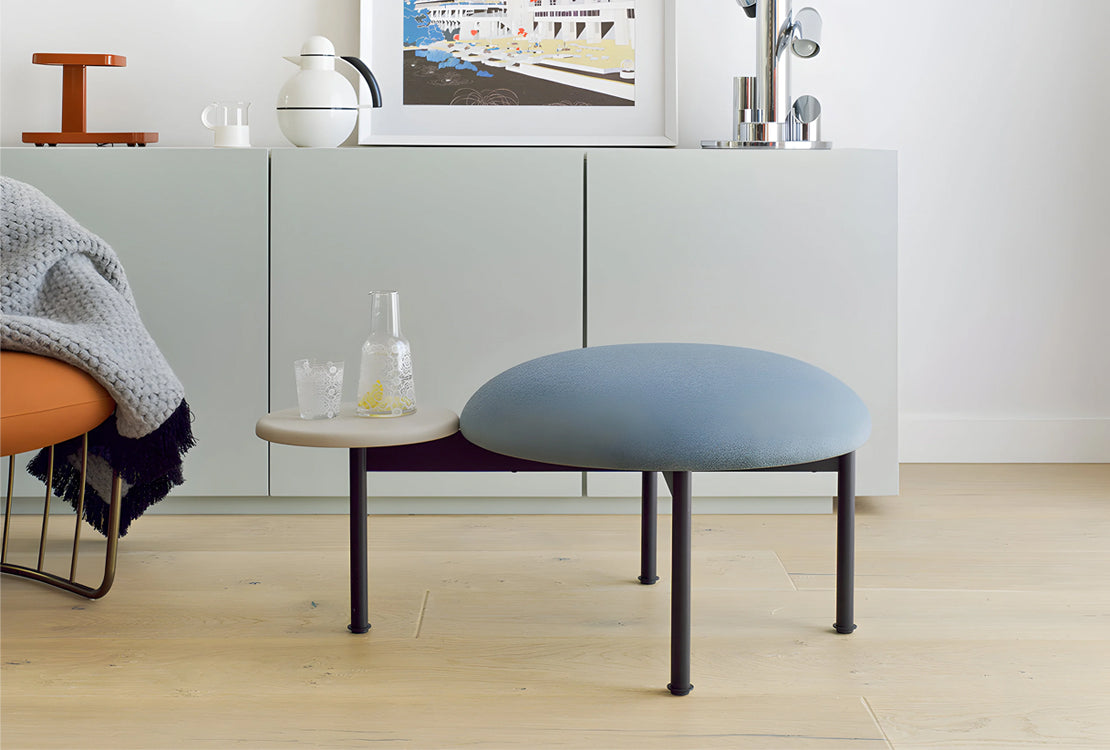 New Arrivals: Meeting Point