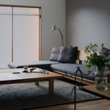 insitu