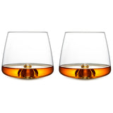 Whiskey Tumblers Set of 2