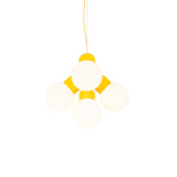 Vine Pendant Light: Color + Vine 3