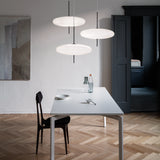 Model 2065 Suspension Lamp