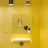 insitu