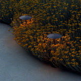 Ginger Bollard Light