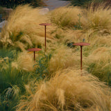 Ginger Bollard Light