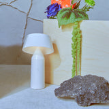 Bicoca Portable Table Lamp: Quick Ship
