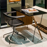 insitu