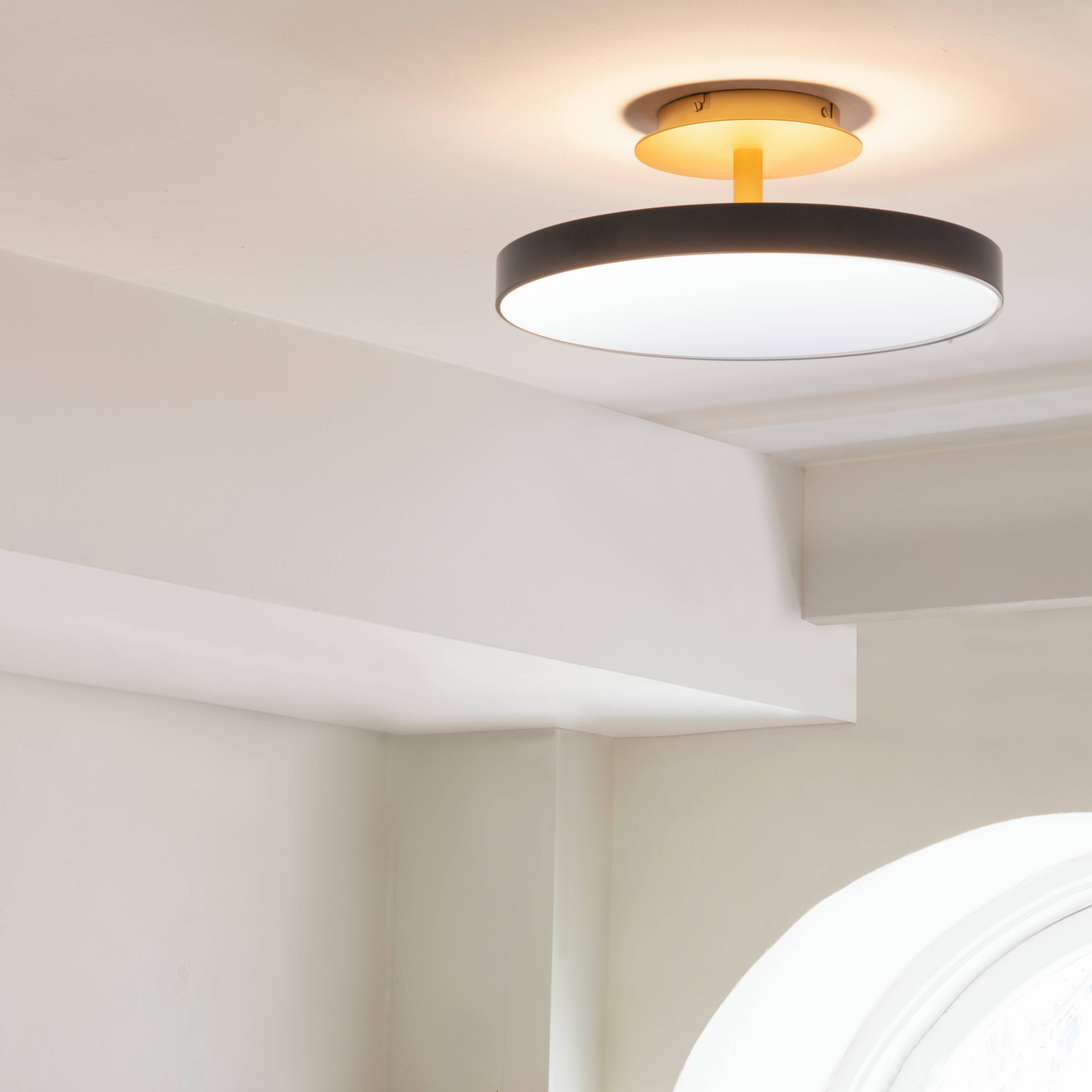 Asteria Up Ceiling Lamp