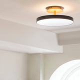 Asteria Up Ceiling Lamp